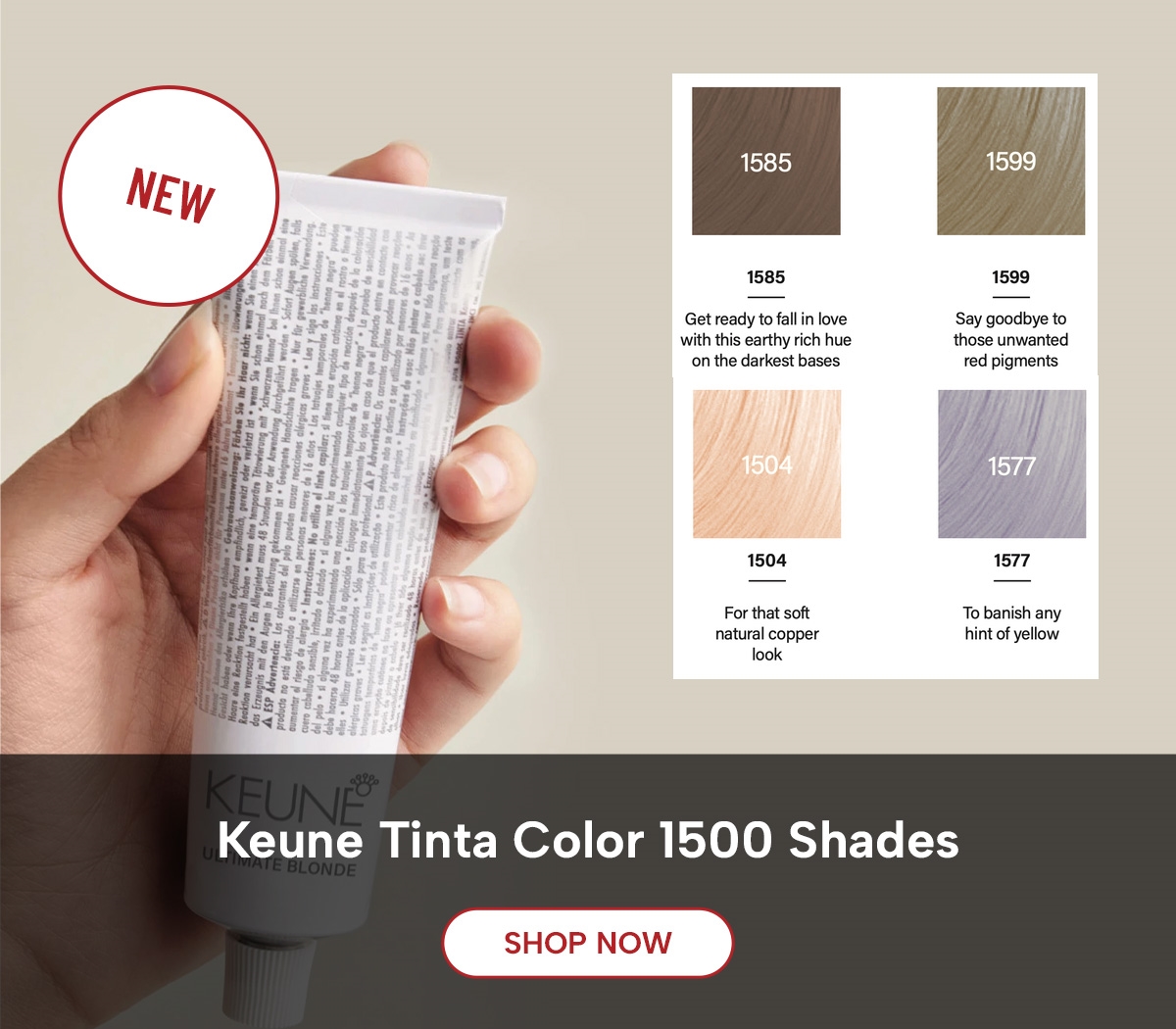 SO24 Keune Tinta 1500 Launch Kit