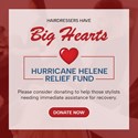 EISS Hurricane Helene Relief Fund