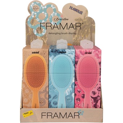 Framar Baecation Collection Detangling Brush Display 9 pc.