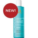 MOROCCANOIL SCALP BALANCING SHAMPOO 8.5 Fl. Oz.