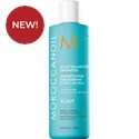 MOROCCANOIL SCALP BALANCING SHAMPOO 8.5 Fl. Oz.